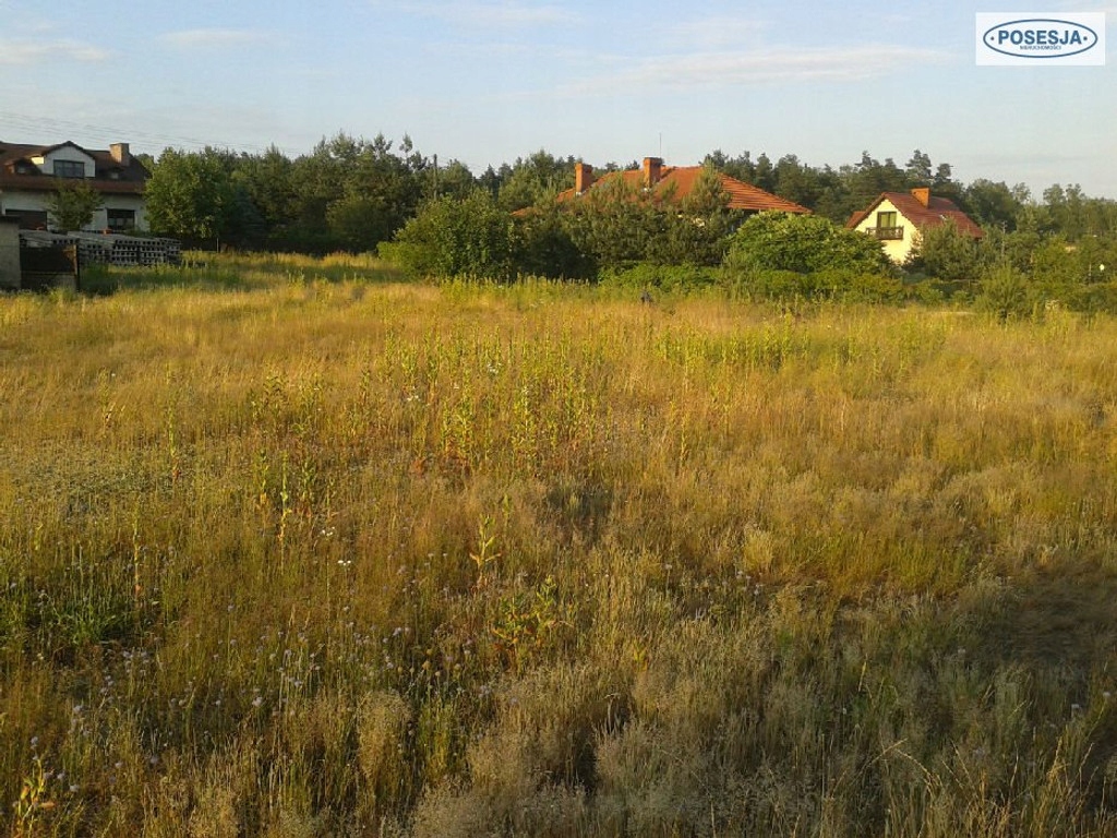 Działka, Górki Śląskie, Nędza (gm.), 8900 m²