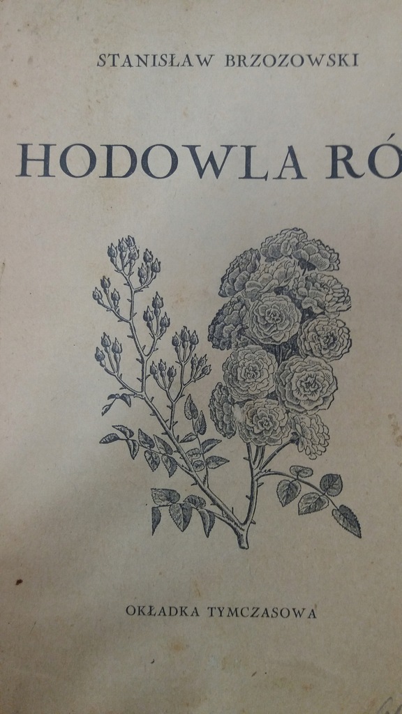 Brzozowski HODOWLA RÓŻ 1935