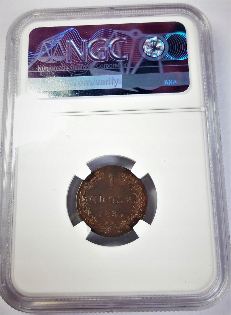 Купить 1 грош 1839 года - NGC MS63 - КРАСИВАЯ И РЕДКАЯ: отзывы, фото, характеристики в интерне-магазине Aredi.ru