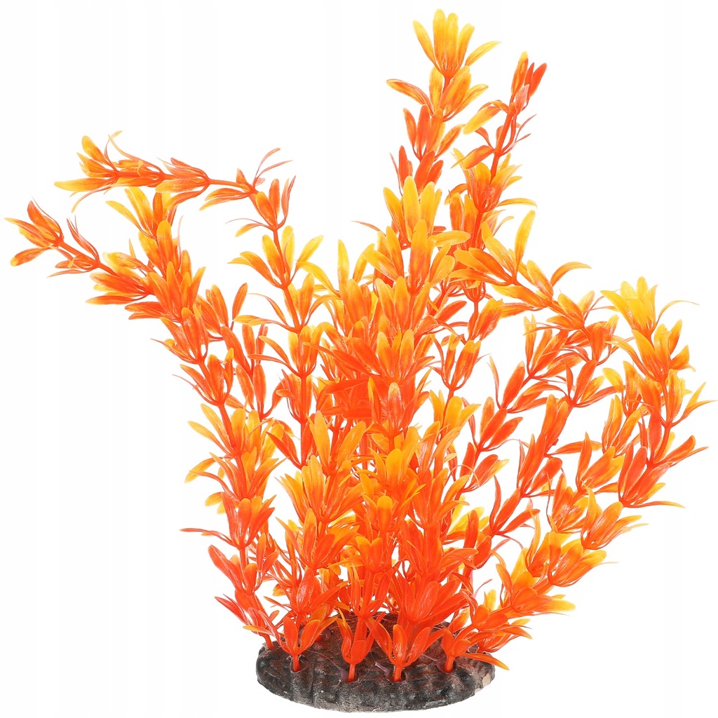 Aquarium Plants Betta Fish Plants Betta Fish 13419677334 oficjalne