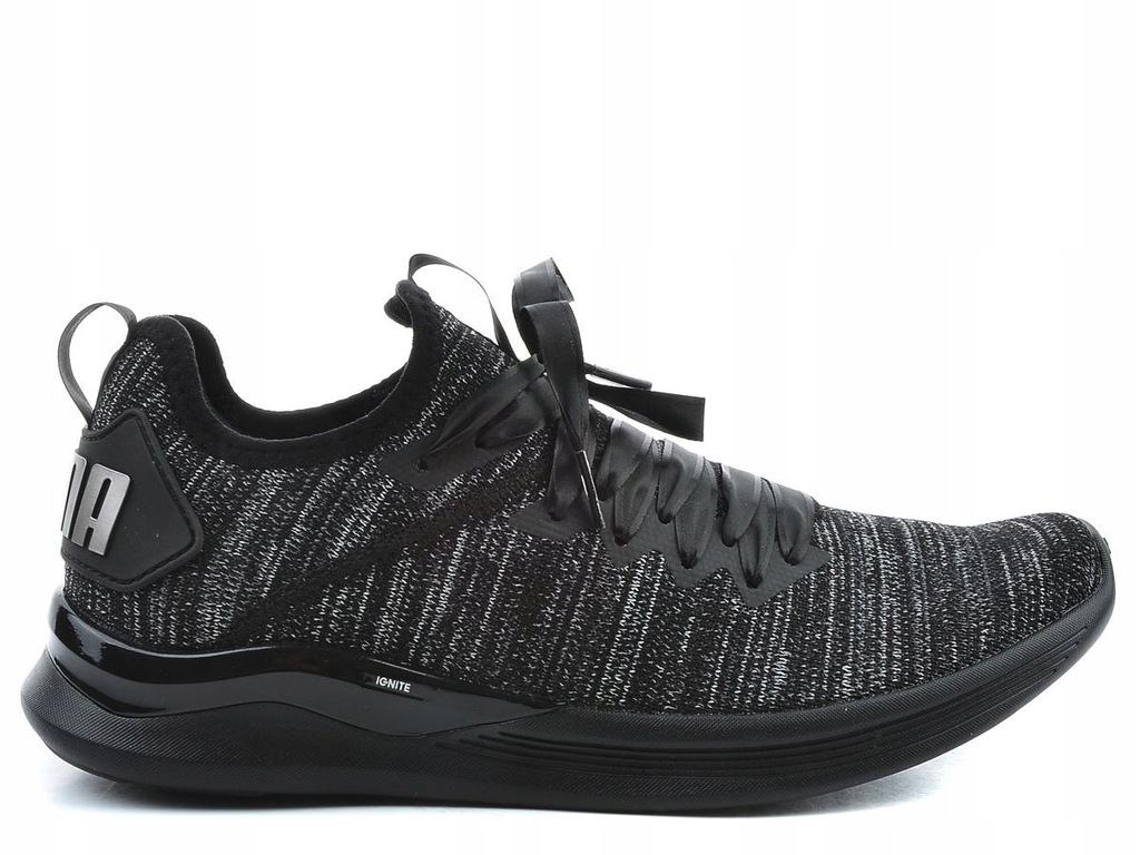 puma ignite flash geo