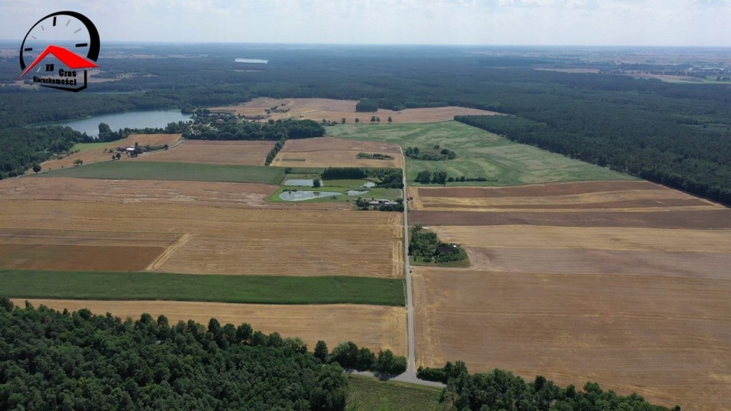 Działka, Pniewy, Gąsawa (gm.), 1200 m²