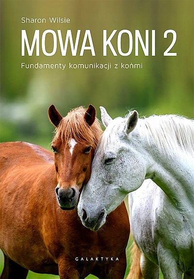 MOWA KONI 2. FUNDAMENTY KOMUNIKACJI Z KOŃMI