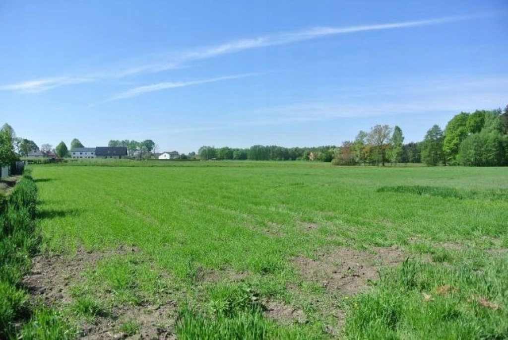 Działka Kobielice, pszczyński, 38873,00 m²