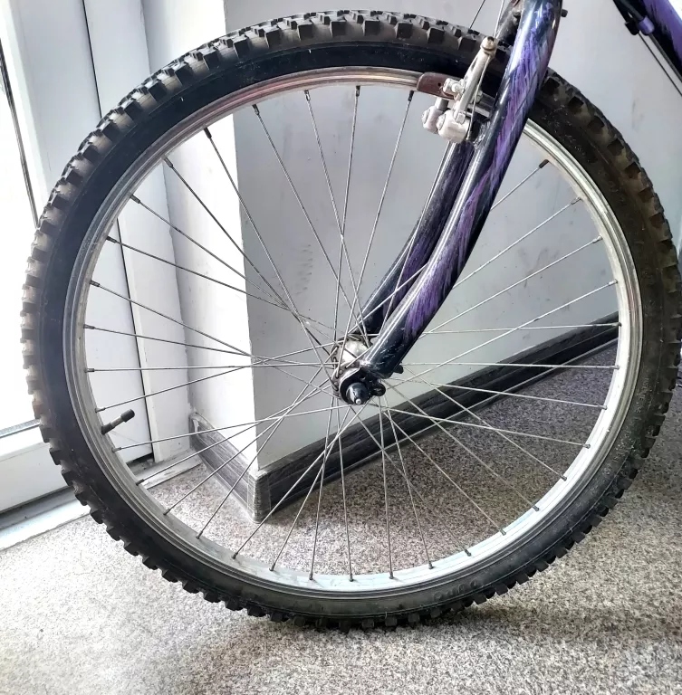 ROWER JAGUAR FLASH BIKE 12192694699 oficjalne archiwum Allegro