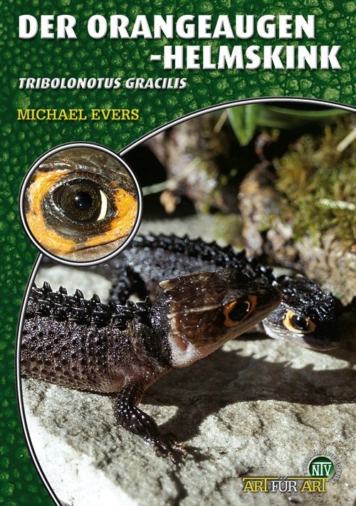 Scynk krokodylowy Tribolonotus gracilis M.Evers DE