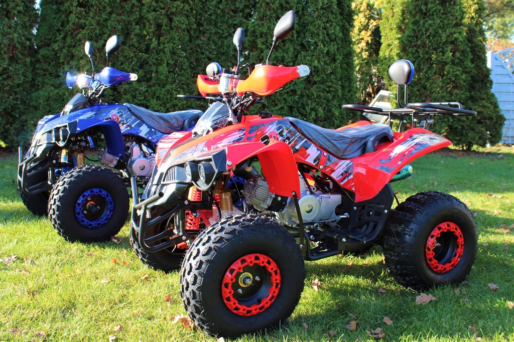 Купить Модель QUAD 125 CC Varia PRO XXL 2020 Халява!!!: отзывы, фото, характеристики в интерне-магазине Aredi.ru