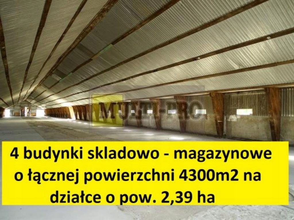Magazyny i hale, Ścinawa, Ścinawa (gm.), 23900 m²