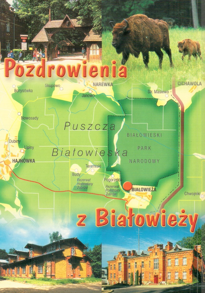 Białowieża Mozaika Mapka