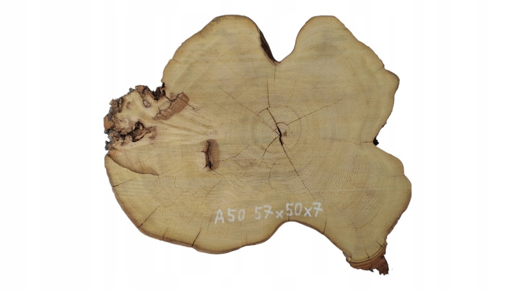 Plaster Drewna Akacja 57x50x7cm Duży Wybór Drewna