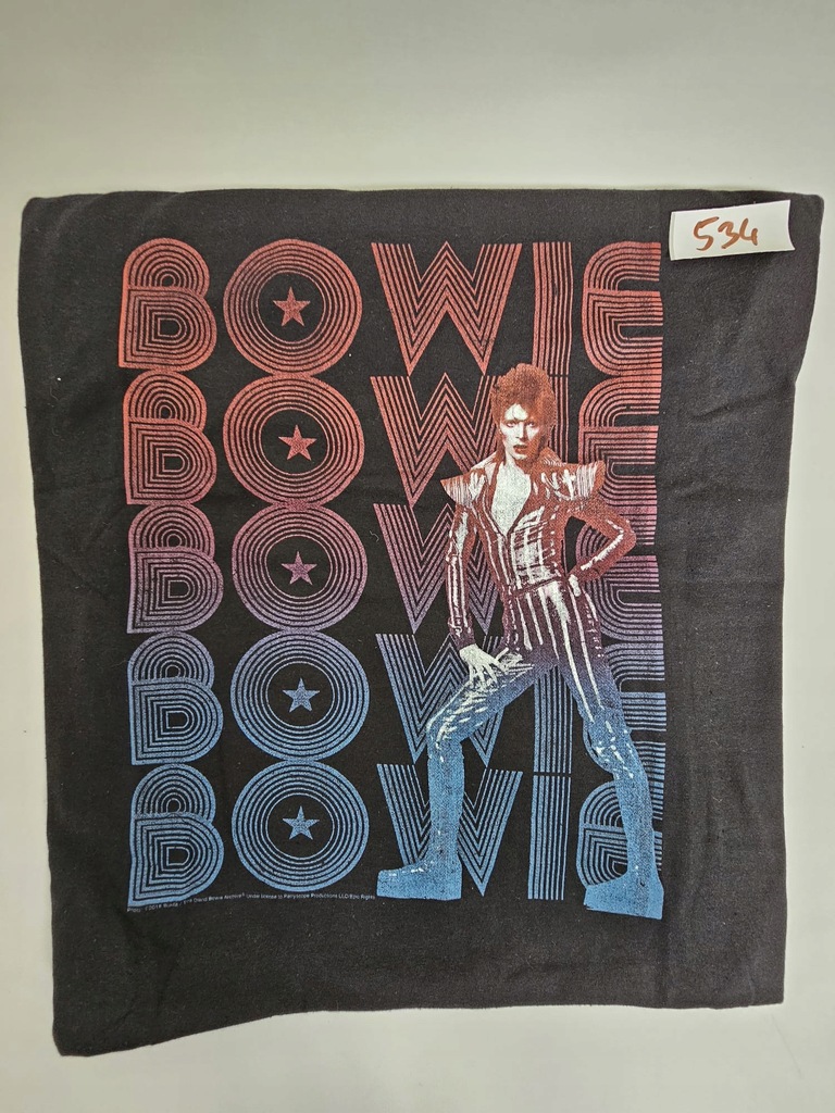 Koszulka P&C Czarna David Bowie Męska S