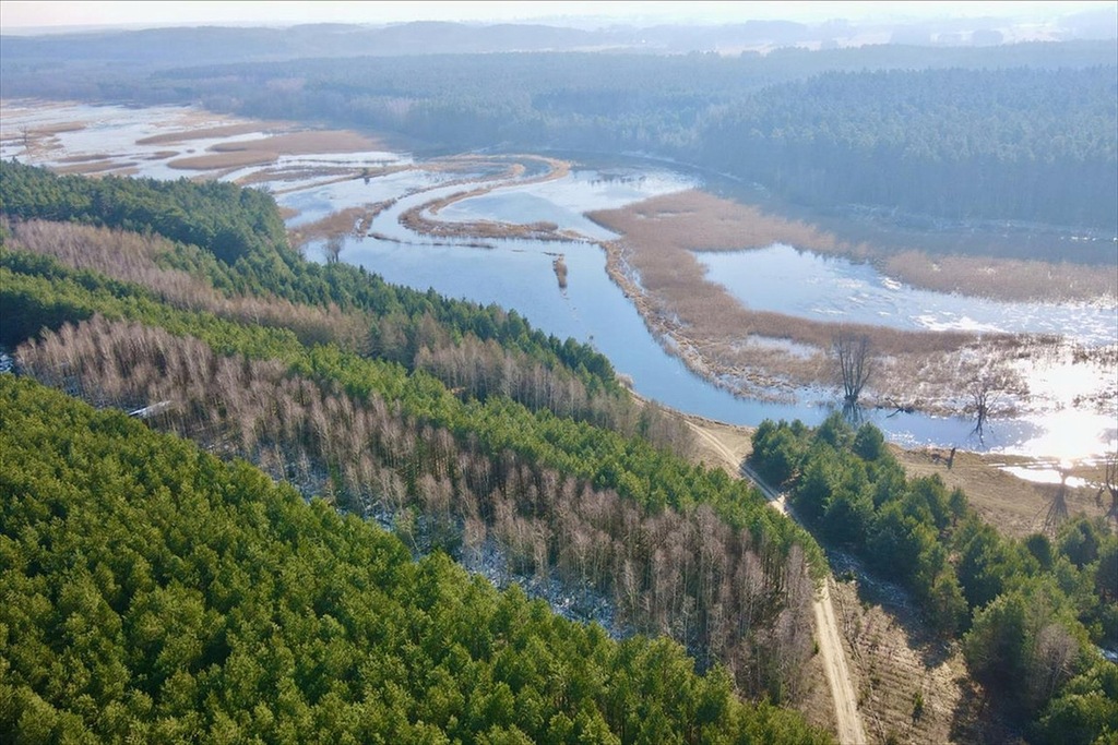 Działka, Świecie, Brzozie (gm.), 1445 m²