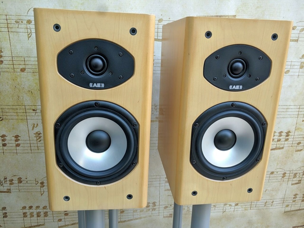 Acoustic Energy Aesprit 300 |duże, mocne monitory