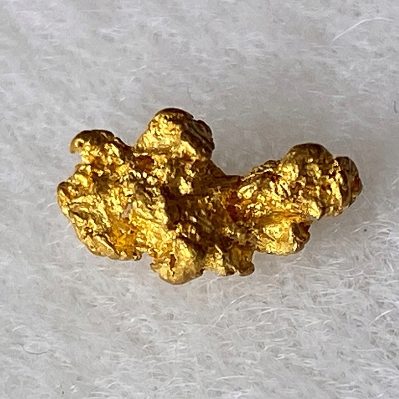 Купить Native Gold Большой золотой самородок Австралия + Пудель: отзывы, фото, характеристики в интерне-магазине Aredi.ru