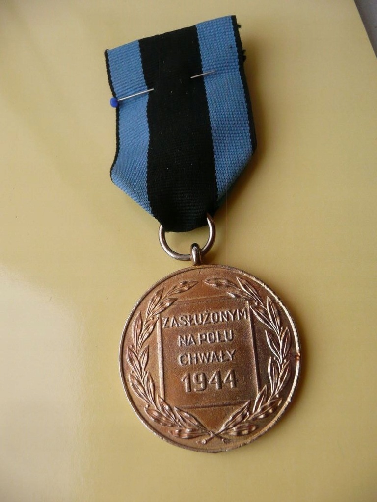 Zasłużonym na Polu Chwały medal