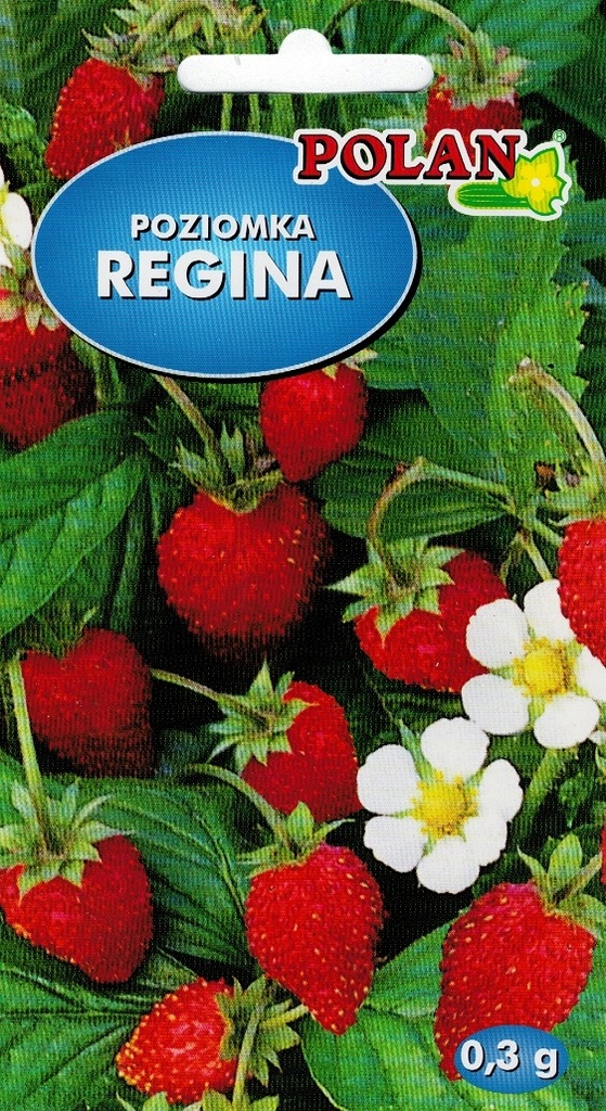 Poziomka Regina nasiona Polan 0,3 g