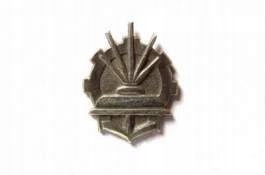 Korpusówka, oznaka Wojska Polskiego - wojska inżynieryjne