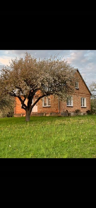 Ładne siedlisko-dom, budynki gospodarcze, działka
