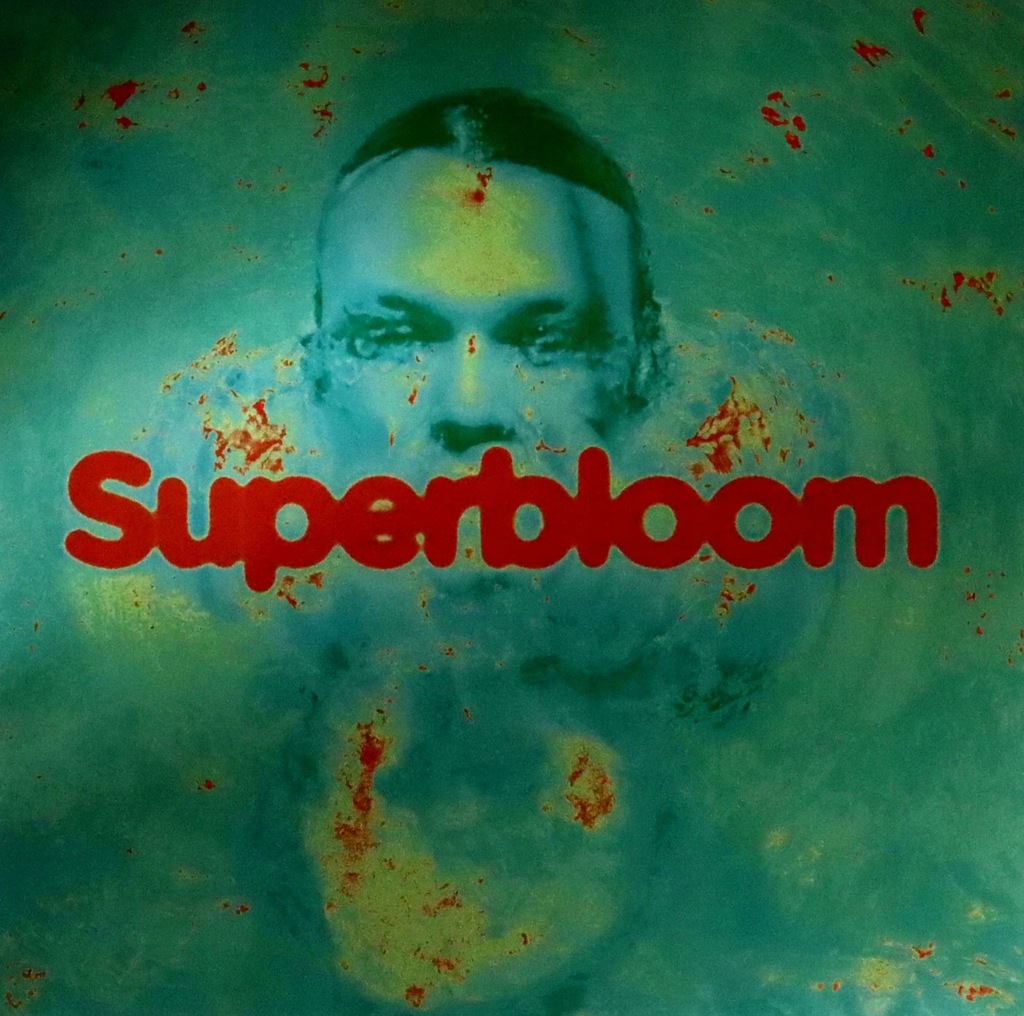 ASHTON IRWIN: SUPERBLOOM [WINYL]