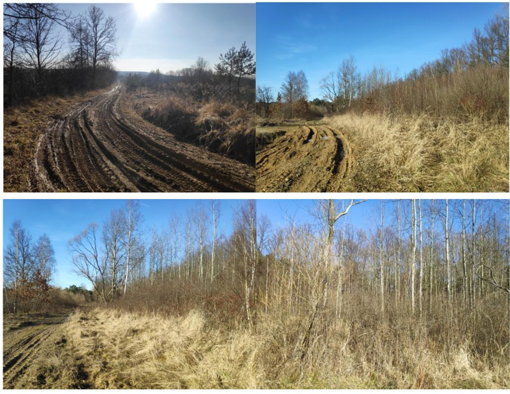 Działka, Chruszczobród, Łazy (gm.), 5308 m²