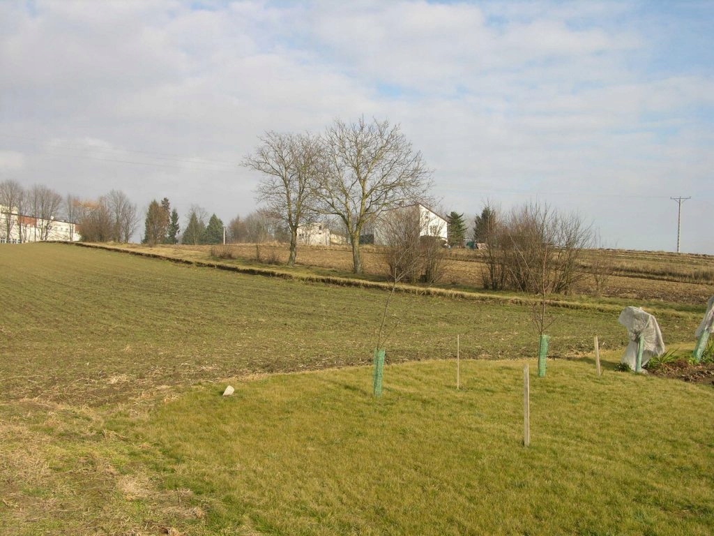 Działka, Proszowice, Proszowice (gm.), 1460 m²