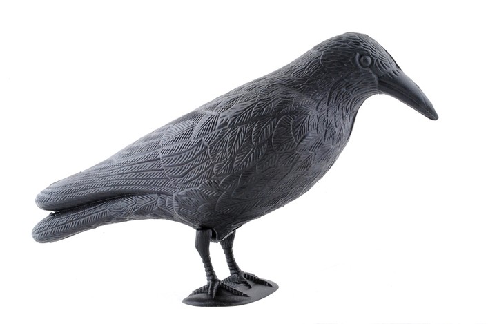 Купить Ворон, отпугиватель птиц, голубей, скворцов, очень крупный: отзывы, фото, характеристики в интерне-магазине Aredi.ru