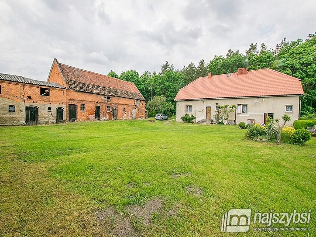 Dom, Trzcinna, Nowogródek Pomorski (gm.)190 m²