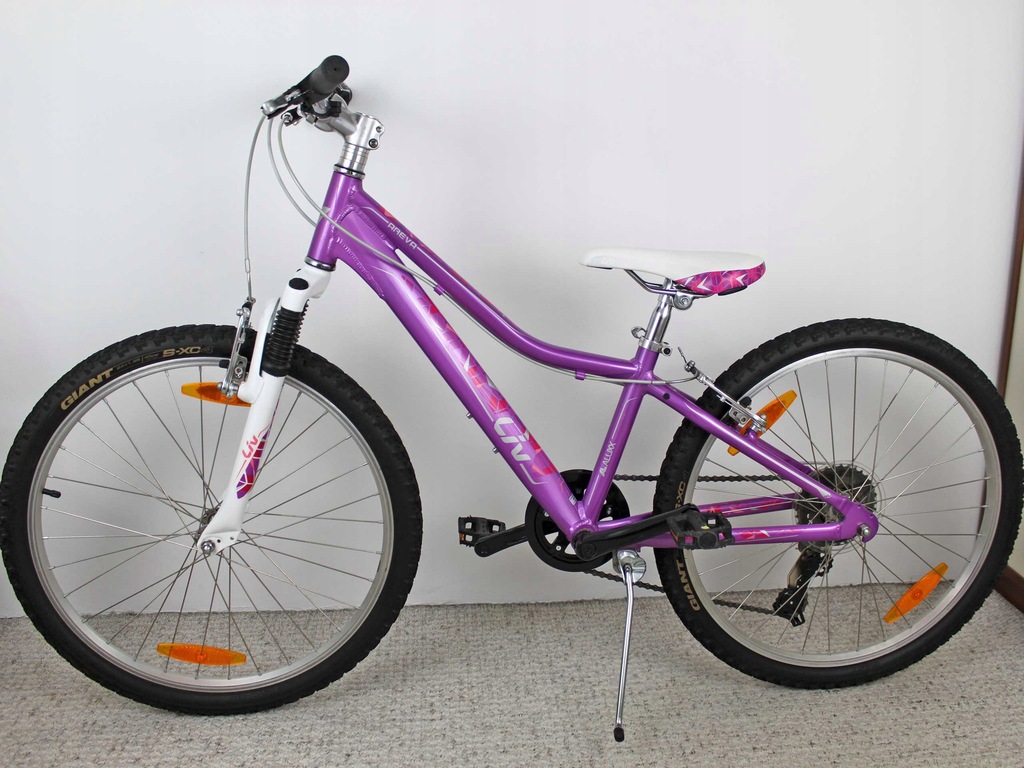 Giant liv areva 24 sale