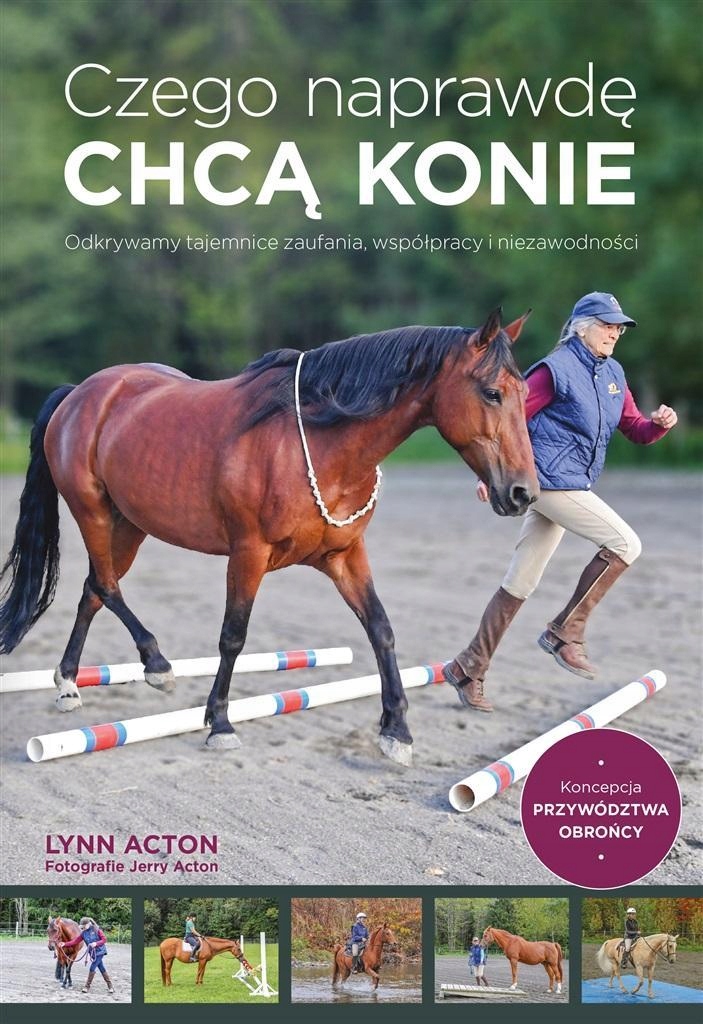 CZEGO NAPRAWDĘ CHCĄ KONIE