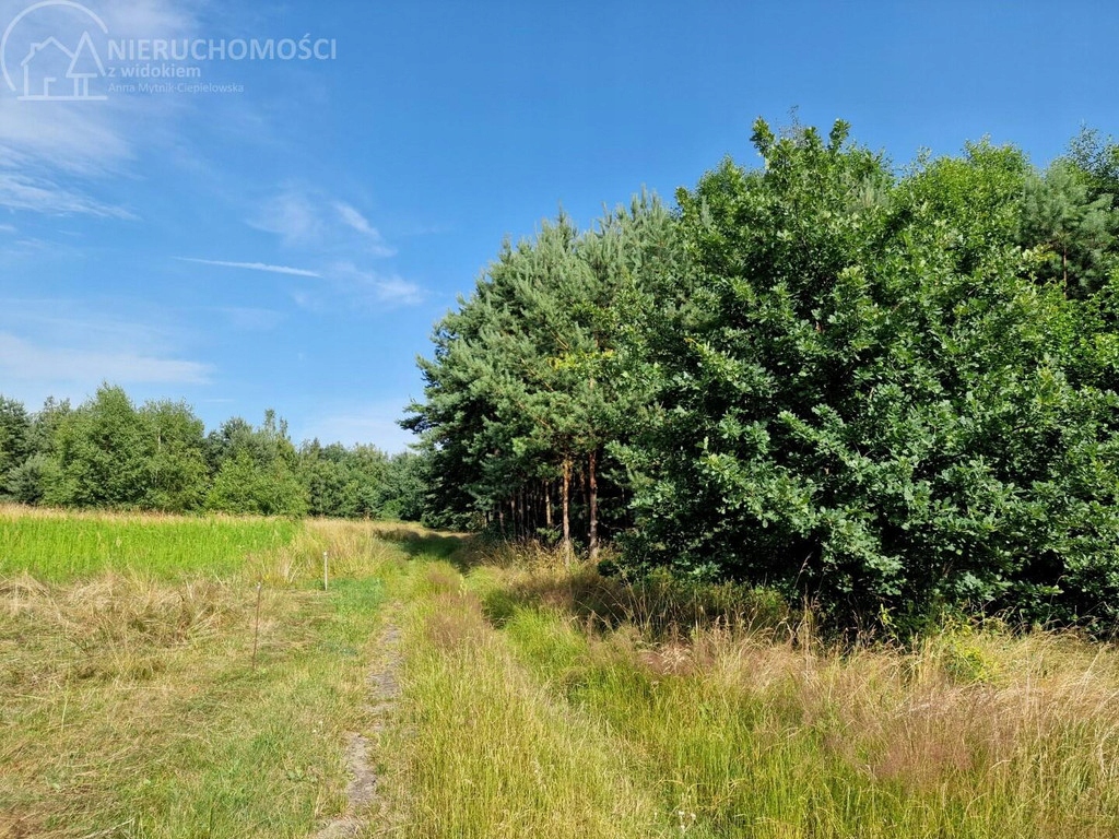 Działka, Szczurowa, 5300 m²