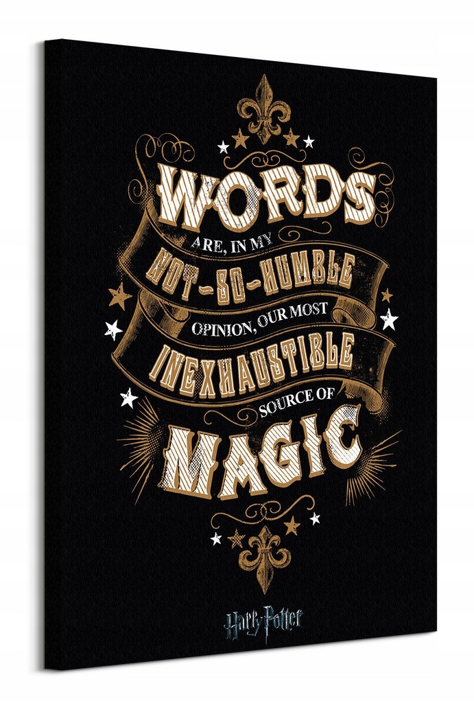 Harry Potter Words Magic Obraz na płótnie 60x80 cm
