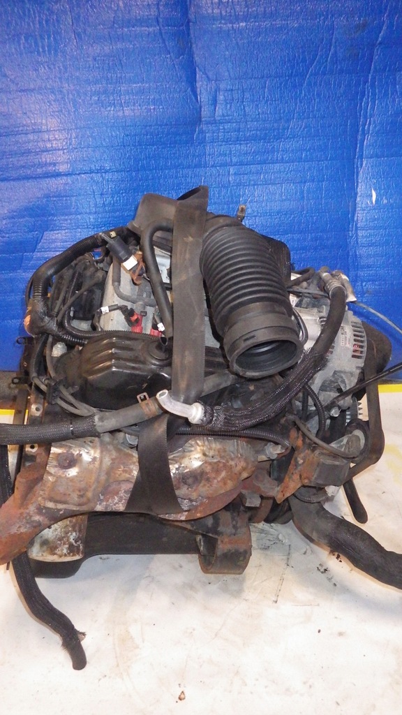 SILNIK DODGE DAKOTA DURANGO RAM 3.9 KOMPLET 8558731927 oficjalne