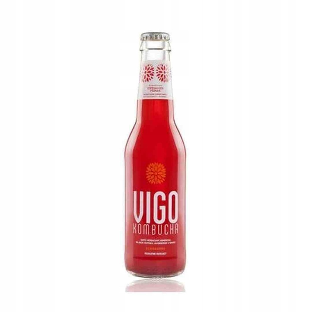 Kombucha Schisandra 330 ml VIGO