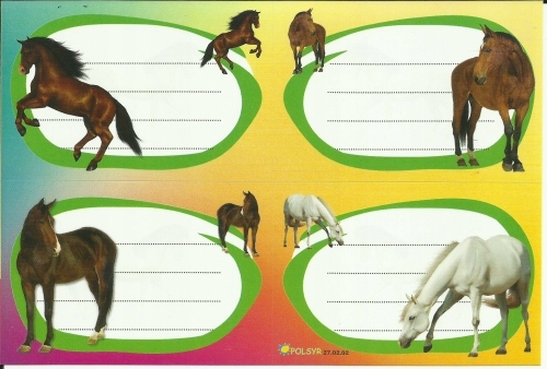 Naklejki na zeszyty KONIE - koń konik do szkoły