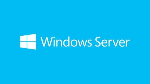 Microsoft (OEM) Microsoft Windows Server 2019 USER