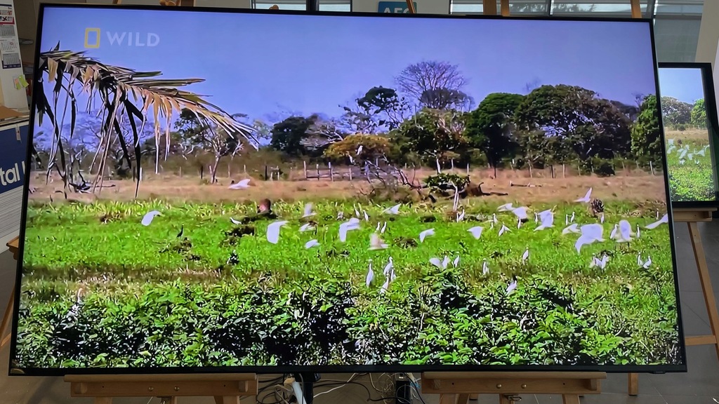 TELEWIZOR SAMSUNG 85 QE85Q900R QLED 8K Linia