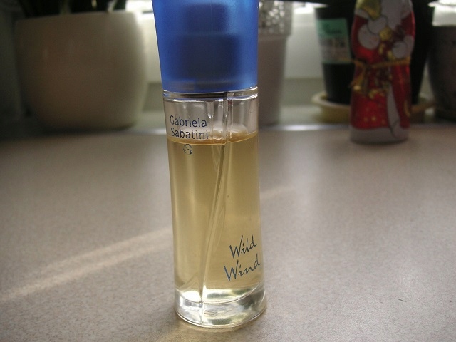 Gabriela Sabatini Wild Wind EDT 9399267771 oficjalne