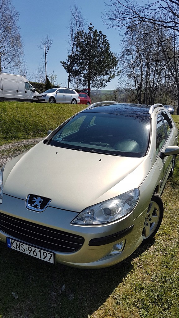 Купить PEUGEOT 407 SW (6E_) 1.6 HDi 110 109 л.с.: отзывы, фото, характеристики в интерне-магазине Aredi.ru