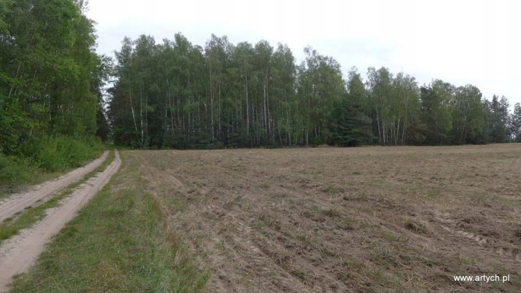 Działka, Telaki, Kosów Lacki (gm.), 15700 m²