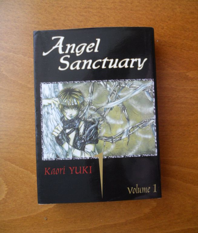 "Angel Sanctuary" tom I