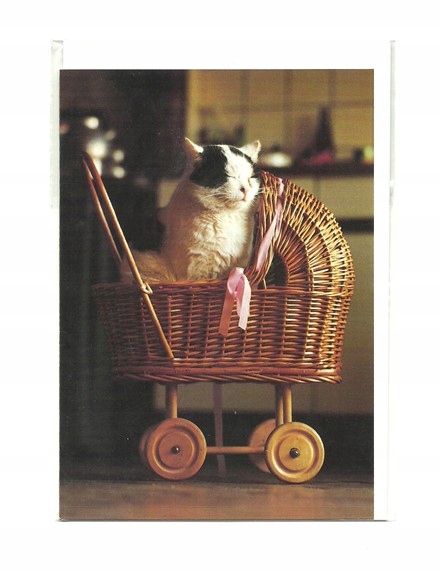 Pocztówka - Kot w wiklinowym wózeczku dla lalek