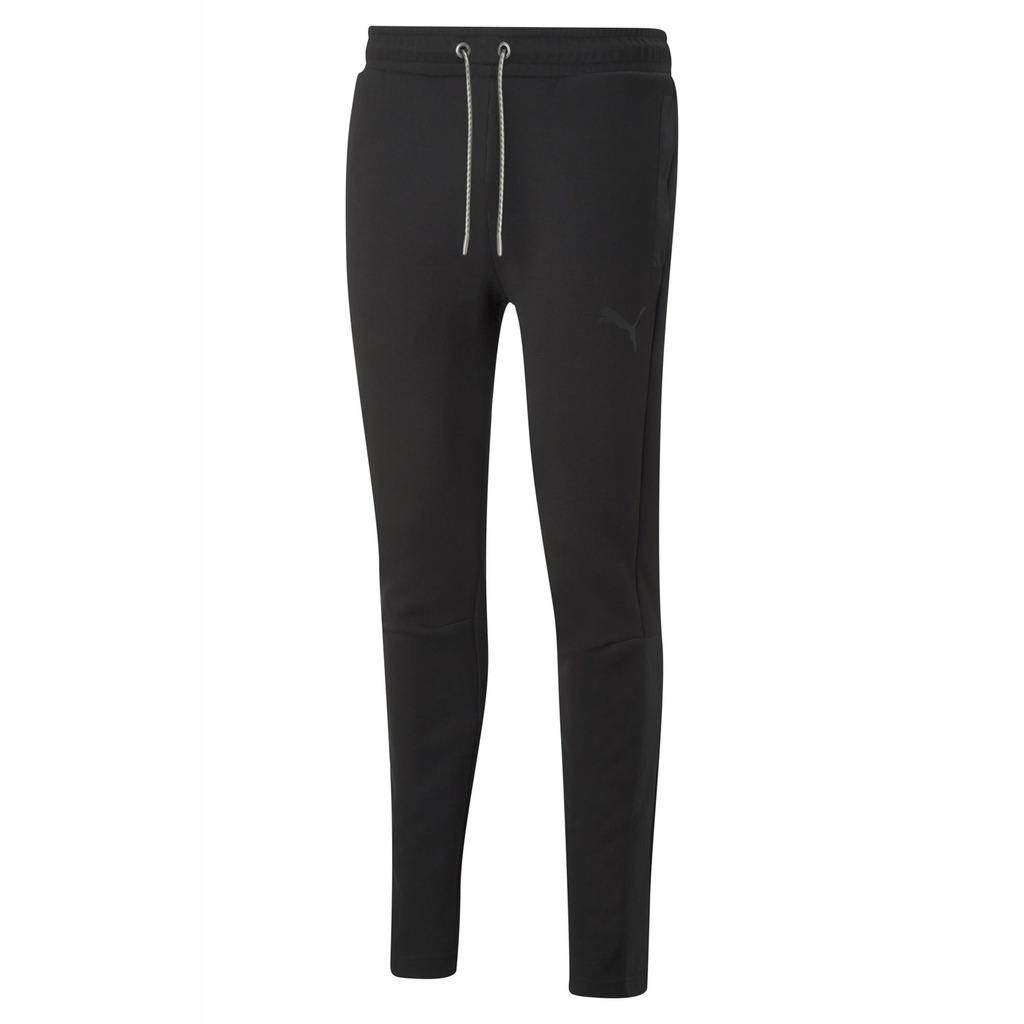 Męskie Spodnie DAY IN MOTION PANTS DK PUMA BLACK L