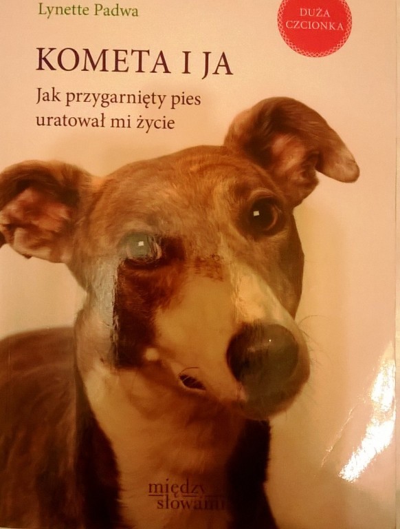 Steven D. Wolf - Kometa i ja. Jak przygarnięty...