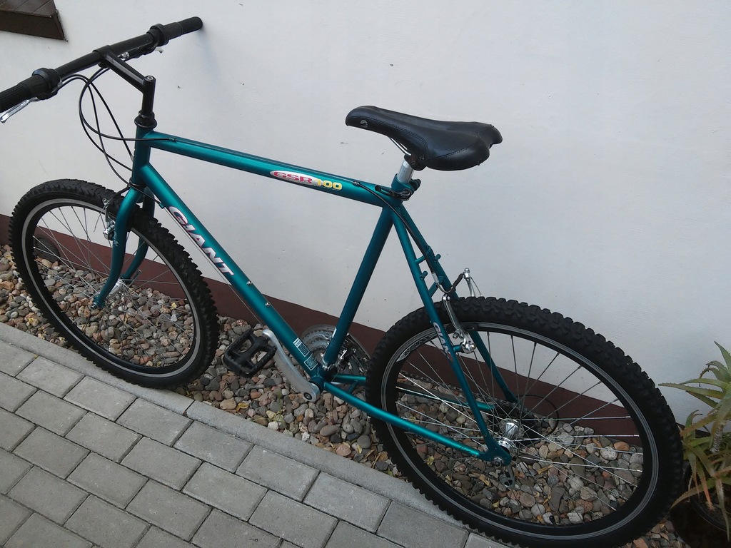 GIANT GSR 100 tani rower górski 8113166974 oficjalne archiwum