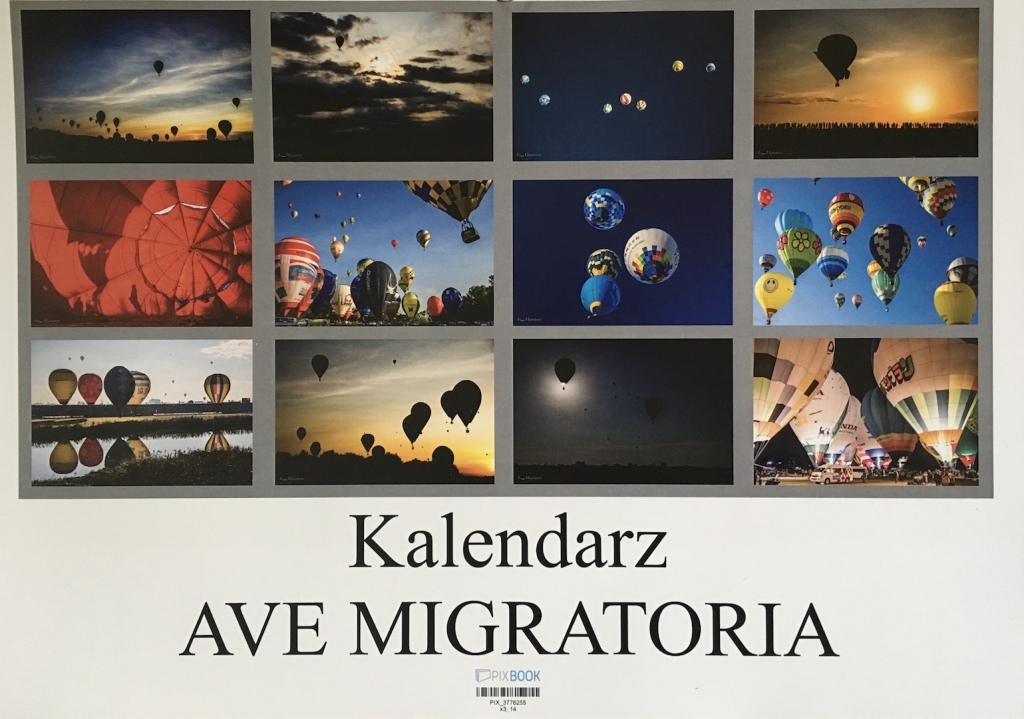 Kalendarz AVE MIGRATORIA balony kolorowe