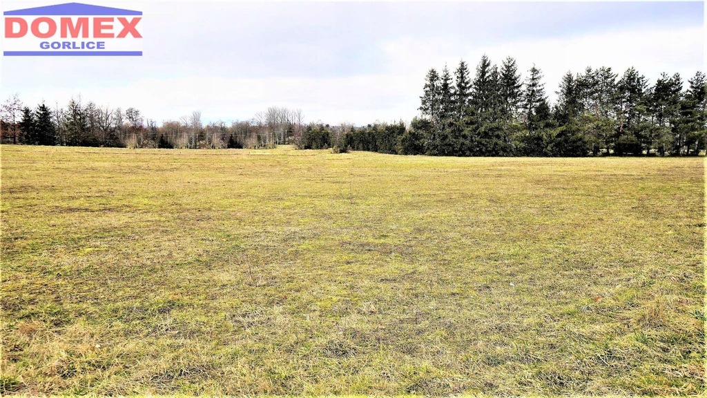 Działka, Kobylanka, Gorlice (gm.), 1399 m²