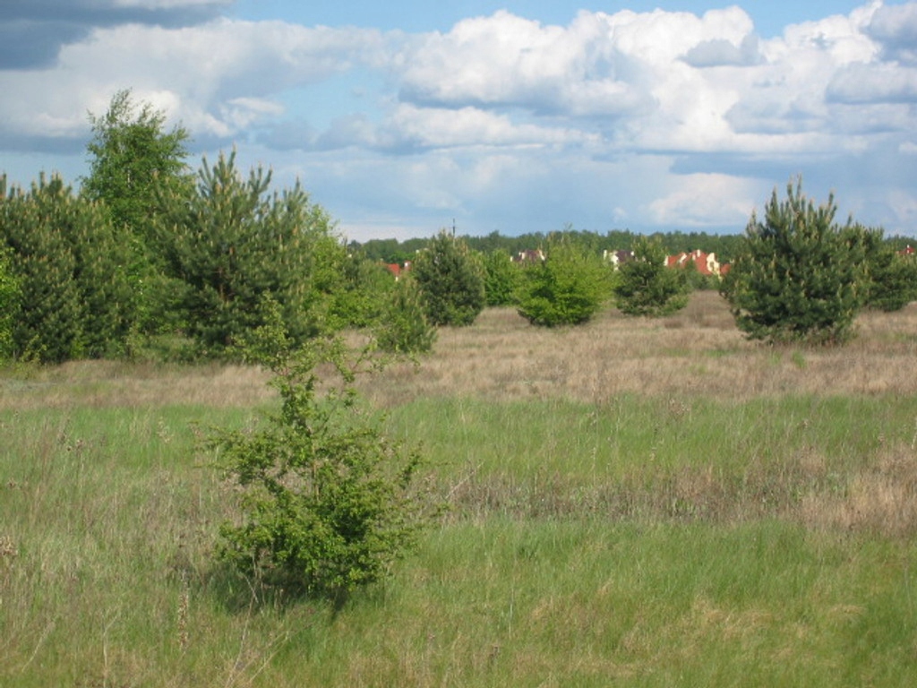 Działka, Skierdy, Jabłonna (gm.), 1033 m²