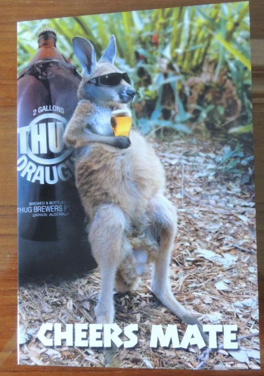 Wyślę kartkę z Australii - kangur moczymorda+koala