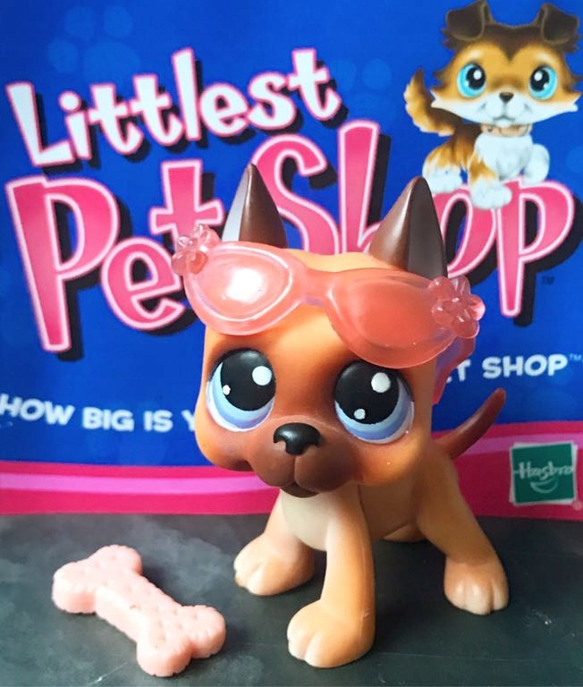 Lps 244 2025