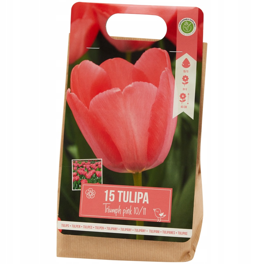 Tulipan Triumph Pink Różowe 15 szt cebulek 047